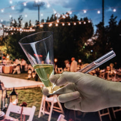 Acrylic Champagne Shooter By Glass Wine Champagne Shooters Gifts Party Games For Gue-1