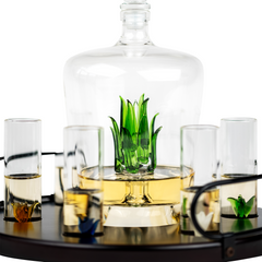 Tequila Decanter Tequila Glasses Set With Agave Decanter And 6 Agave Shot Glass With Stand Perfect F-3