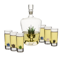 Tequila Decanter Set Premium Barware Gift Elegant Drinkware Collection-0