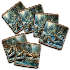 Sea Lion Cave Wooden Cork Placemat and Coasters Gift Set of 7 by Nature Wonders Coastal Nature Wildlife Decor  - 85413C-S7-1