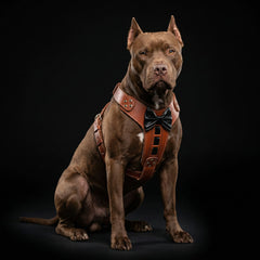 Bestia ''Bowtie'' leather harness-1